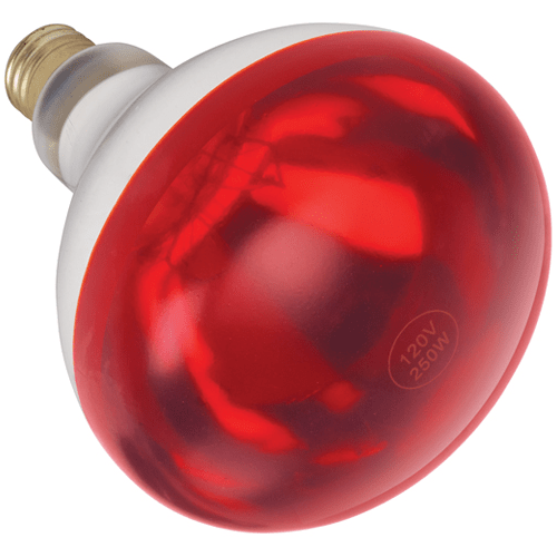 Winco Food Heat Lamp